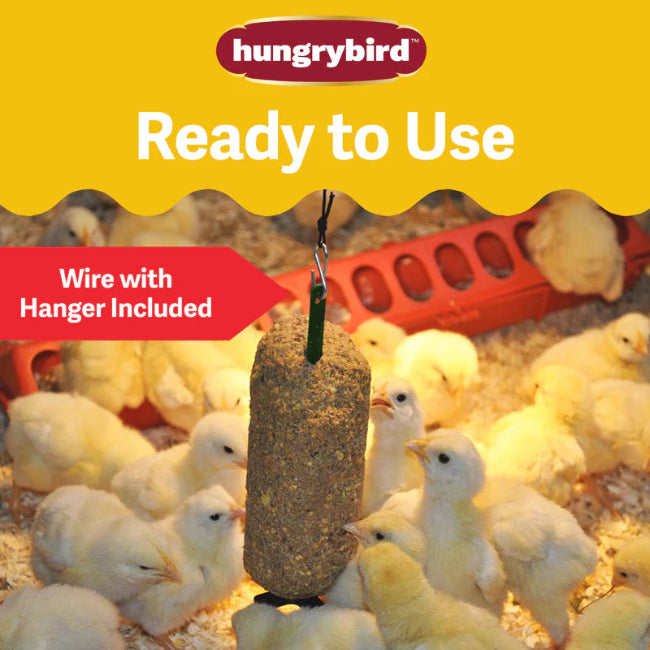 Hungrybird Chick Cake Treat 15oz