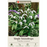 Snowdrop Bulbs - Pack of 15