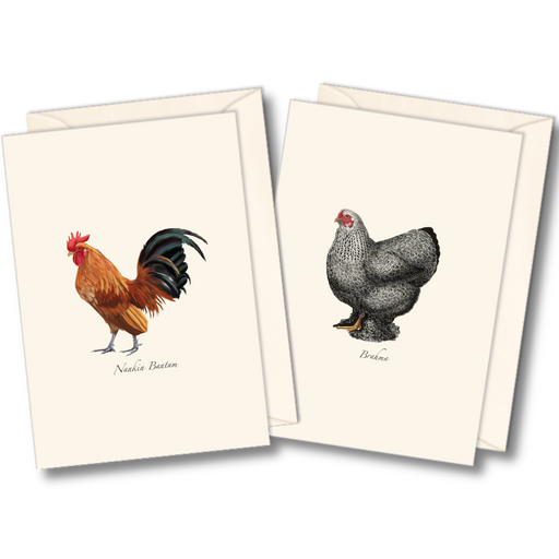 8-Piece Notecard Set: Chicken Assortment