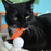 Wiggly Pong Plastic Pong Ball Cat Toy, Assorted Colors