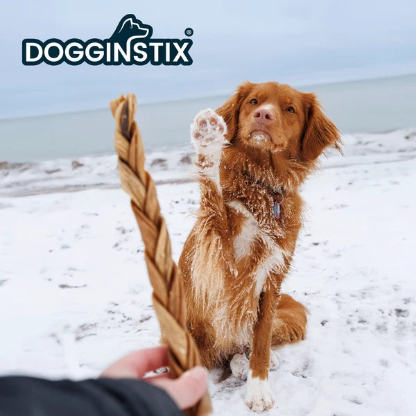Dogginstix Braided Lamb Collagen Dog Chew