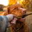 Dogginstix Braided Lamb Tripe Dog Chew