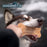 Dogginstix 6" Collabone Beef Collagen Dog Chew