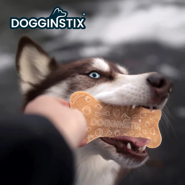 Dogginstix 6" Collabone Beef Collagen Dog Chew