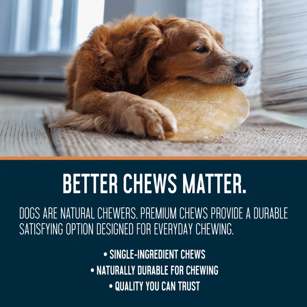 Dogginstix UFO Beef Collagen Dog Chew
