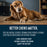 Dogginstix Cosmic Donut Lamb Collagen Dog Chew