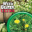 Weed Beater® Ultra Lawn Weed Killer Concentrate, 16oz.
