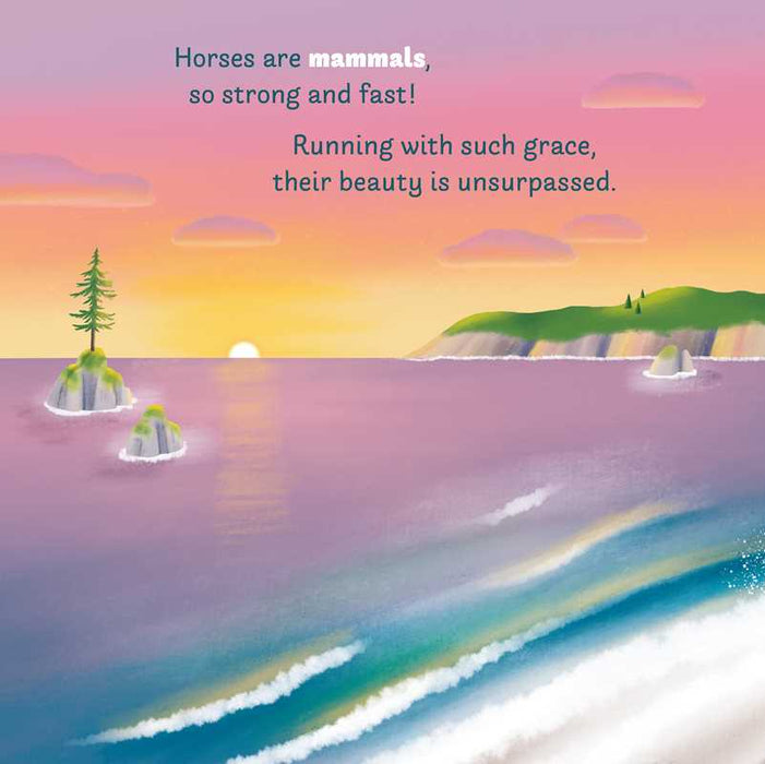 Little Genius Horses Board Book