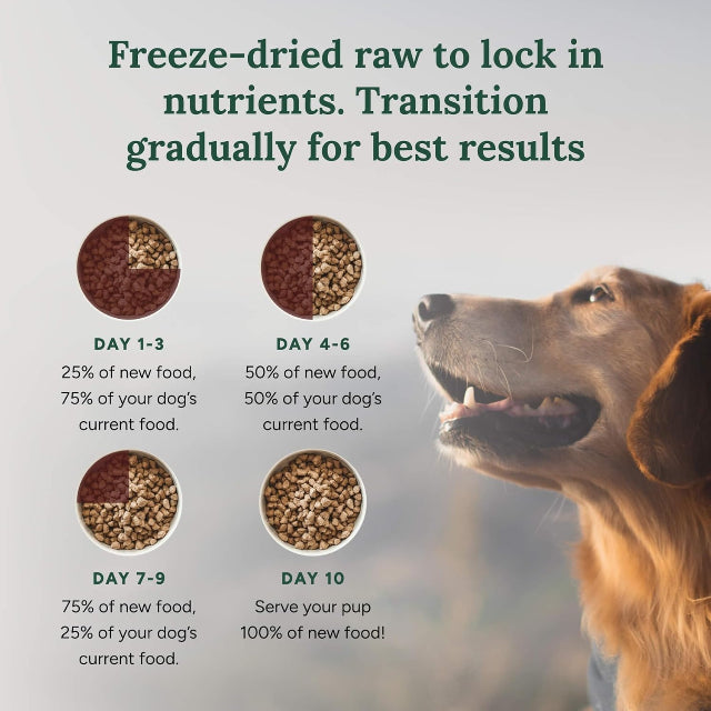 360 Pet Nutrition Beef Formula Grain-Free Adult Freeze-Dried Raw Dog Food