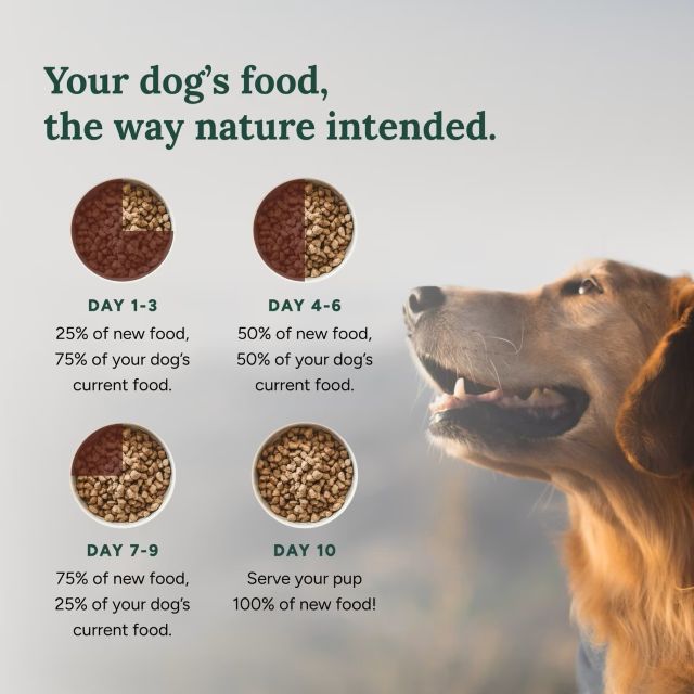 360 Pet Nutrition Multi-Protein Formula Grain-Free Adult Freeze-Dried Raw Dog Food