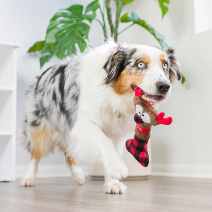 Rudy the Reindeer Bone Dog Toy