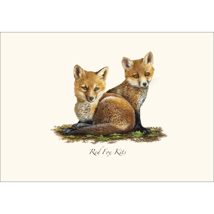 8-Piece Notecard Set: Red Fox Kits