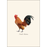 8-Piece Notecard Set: Chicken Assortment