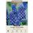 Grape Hyacinth Muscari aucheri 'Dark Eyes' Pack of 15