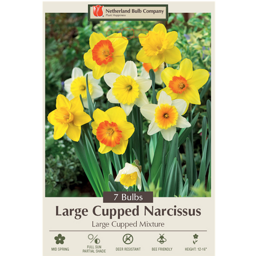 Narcissus Bulbs - Large Cupped Naturalizing Mixture
