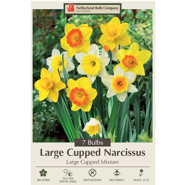 Narcissus Bulbs - Large Cupped Naturalizing Mixture