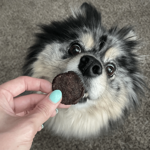 Farm to Pet Beef Chips 4oz Single-Ingredient Dog Treats