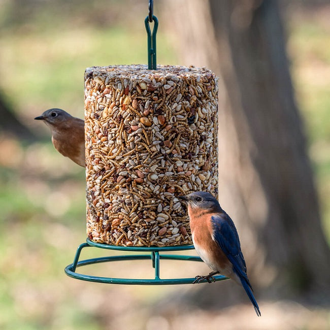 Mr. Bird EZ Feeder Seed Log Feeder