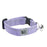 RC Pets Breakaway Kitty Collar with bell - Lilac