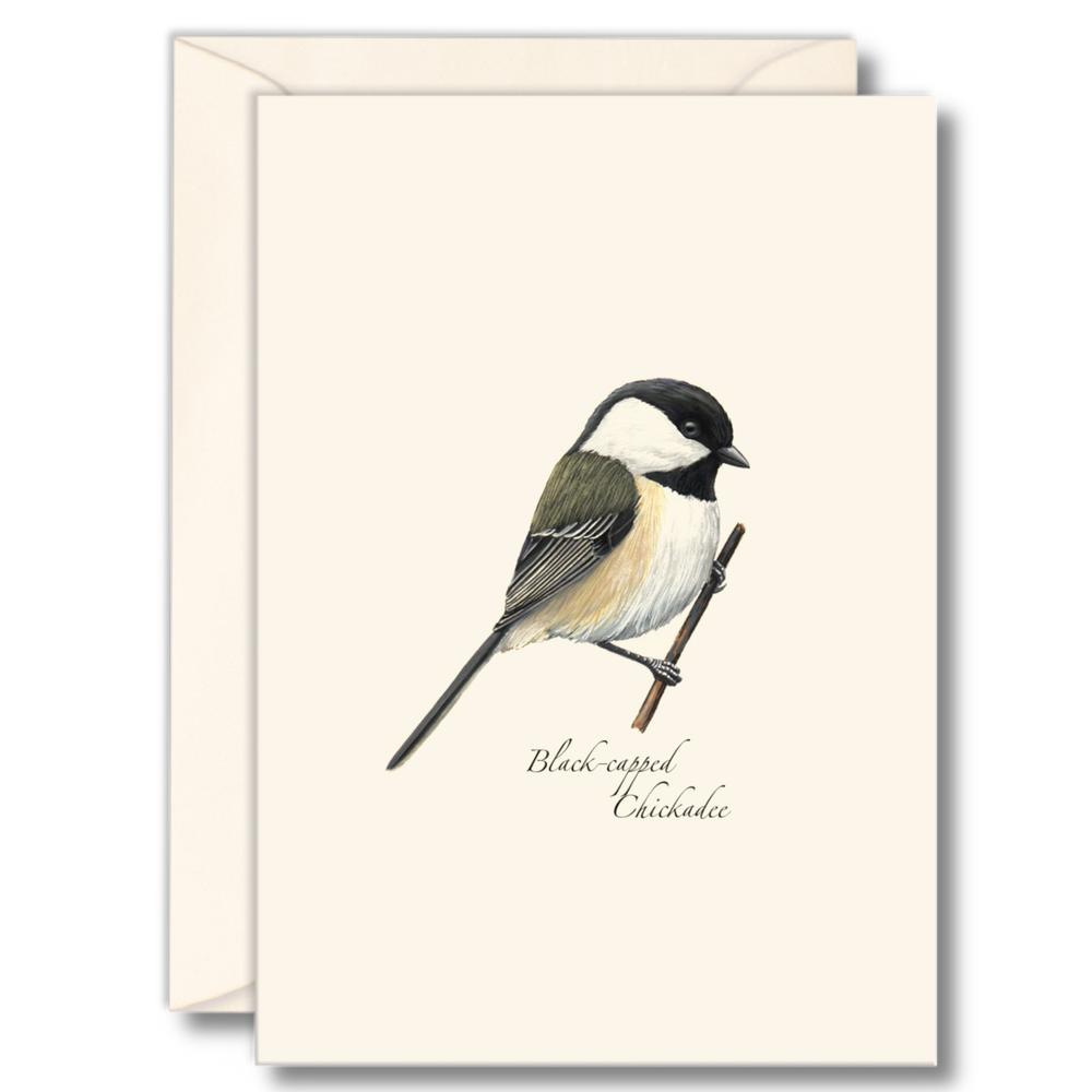 8-Piece Notecard Set: Black-Capped Chickadee