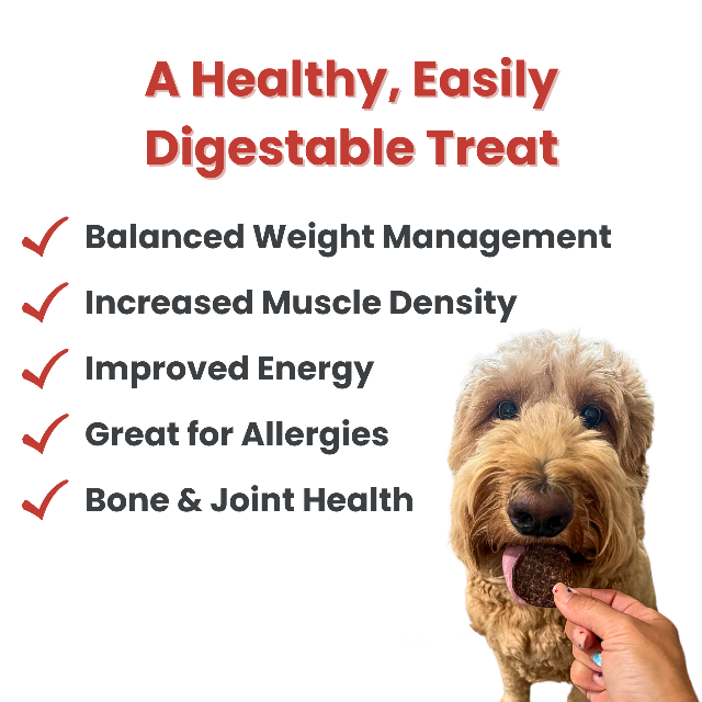 Farm to Pet Beef Chips 4oz Single-Ingredient Dog Treats