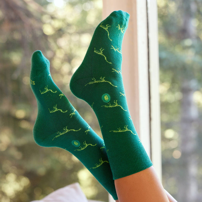 Socks that Give Books  (Green Dinosaurs)