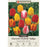 Tulip Bulbs Darwin Hybrid 'Tequila Sunrise Mixture', Pack of 7