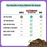 RawTernative Air-Dried Cat Food, Lamb & Mackerel Recipe 5 oz