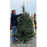 Fraser Fir Fresh Cut Tree, 6-7ft