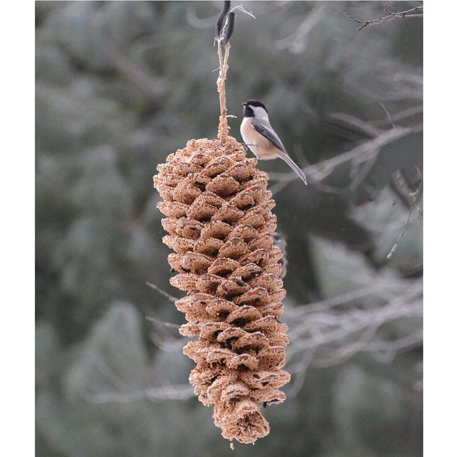 Mr. Bird Giant Pine Cone Bird Seed Treat