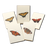 8-Piece Notecard Set: Butterfly Assortment