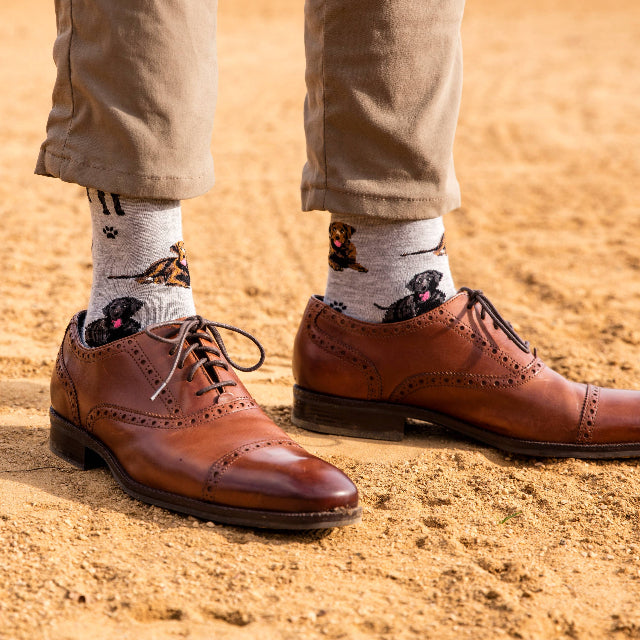 Men's Labrador Dogs Bamboo Blend Socks, Light Gray Heather