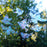 Window Gems Assorted Birds 7 Piece Prismatic Window Decals