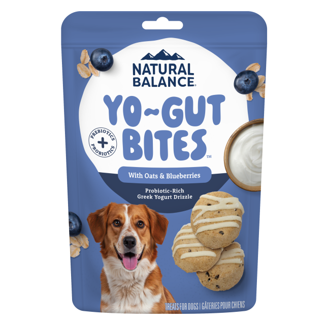 Natural Balance Yo-Gut Bites with Oats & Blueberries 4.5 oz Dog Treats