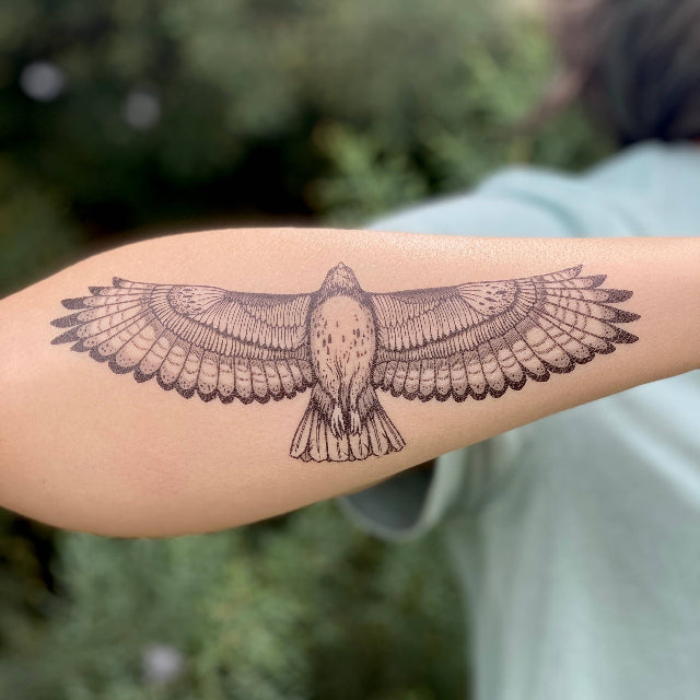 Hawk Temporary Tattoo