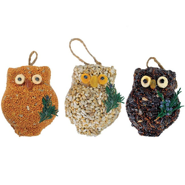 Mr. Bird Ollie the Owl Bird Seed Treat 4in, Assorted