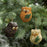Mr. Bird Ollie the Owl Bird Seed Treat 4in, Assorted
