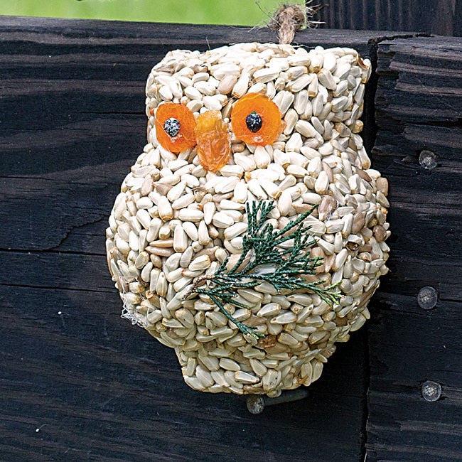 Mr. Bird Ollie the Owl Bird Seed Treat 4in, Assorted