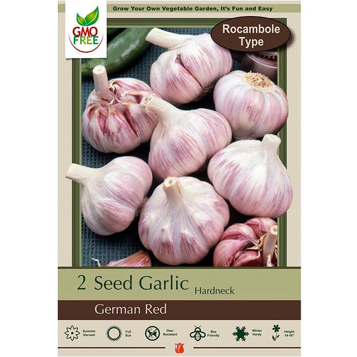 Hardneck Garlic, Rocambole Type - German Red - 2 Pack