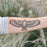 Hawk Temporary Tattoo