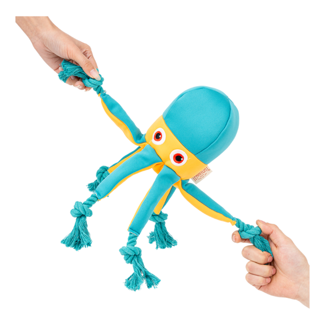 Territory Floating Jellyfish Tug Dog Toy