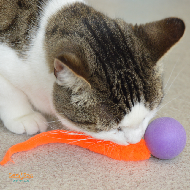 Wiggly Pong Plastic Pong Ball Cat Toy, Assorted Colors