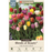 Tulip Bulbs -  Various Groups, 'Breeder's Blend' - Pack of 12
