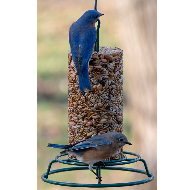 Mr. Bird EZ Feeder Seed Log Feeder