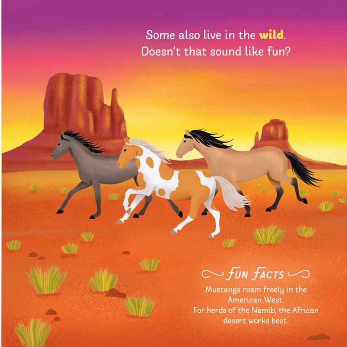 Little Genius Horses Board Book