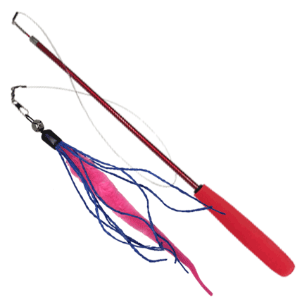 Wiggly Wand Cat Teaser Toy