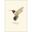 8-Piece Notecard Set: Ruby-Throated Hummingbird