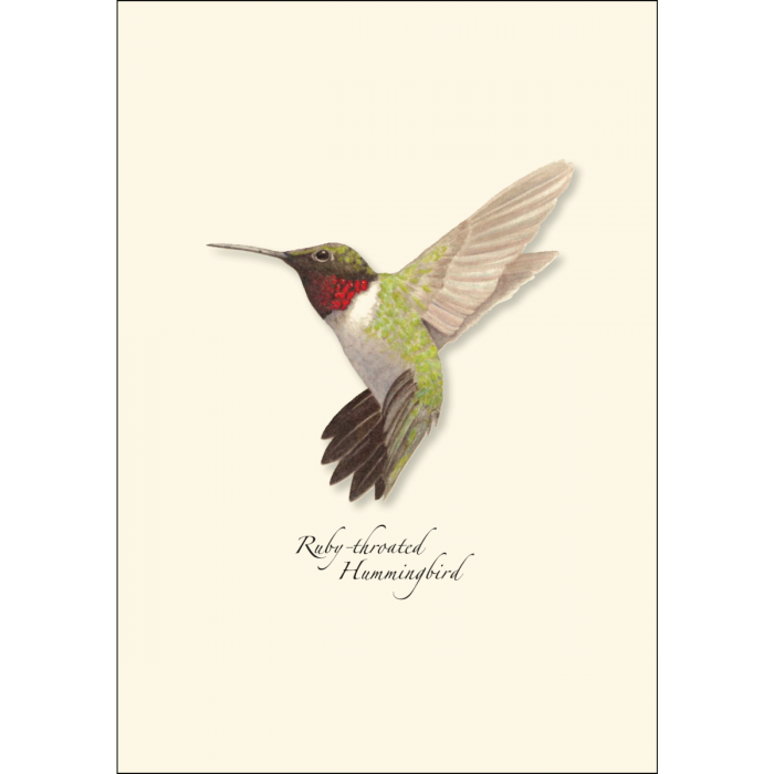 8-Piece Notecard Set: Ruby-Throated Hummingbird