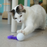 Wiggly Pong Plastic Pong Ball Cat Toy, Assorted Colors