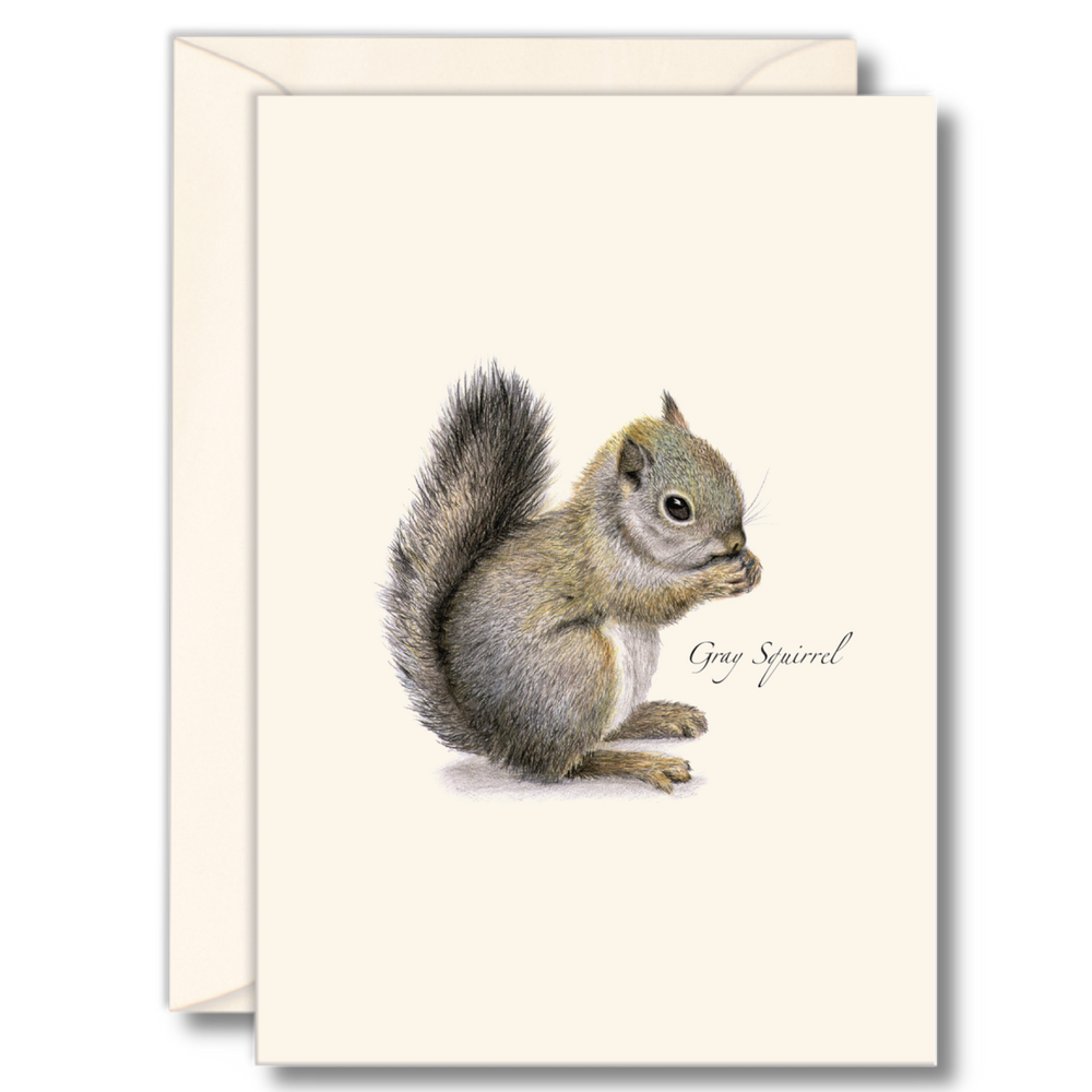 8-Piece Notecard Set: Gray Squirrel
